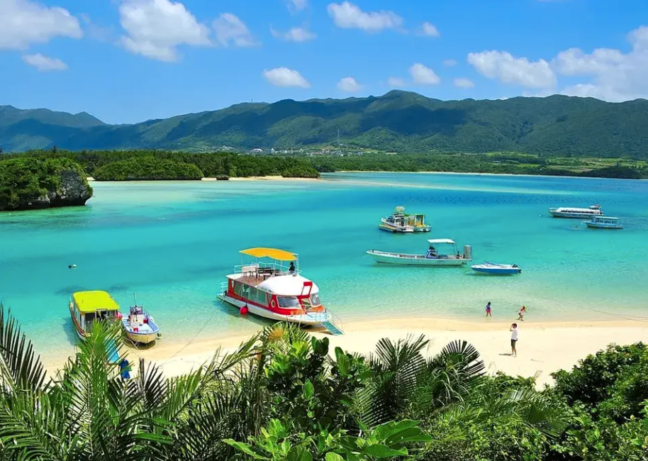 太金國際旅行社的旅遊行程介紹圖片