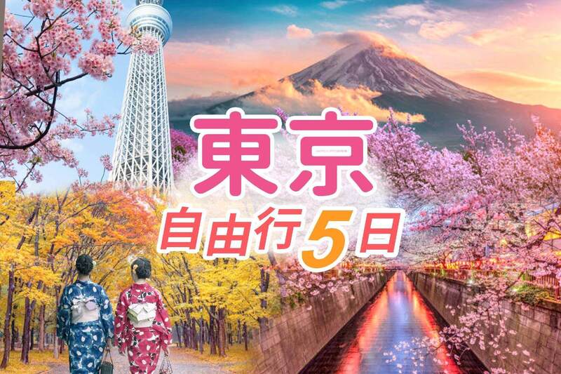 太金國際旅行社的旅遊行程介紹圖片