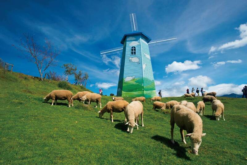 小小導遊開課-桃園機場(第二航廈)的第3張圖片