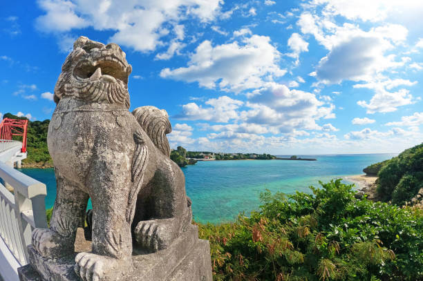 太金國際旅行社的旅遊行程介紹圖片