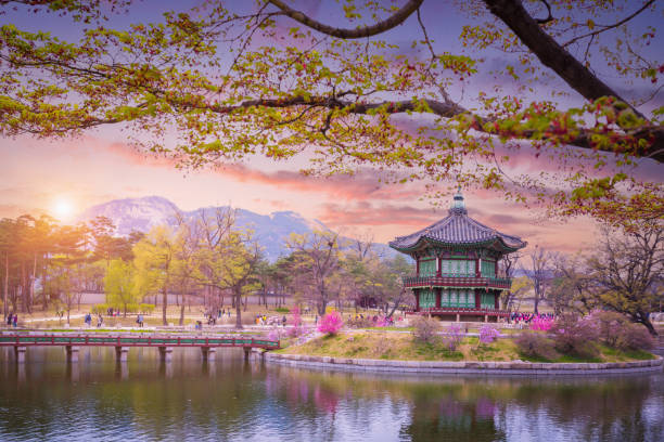 太金國際旅行社的旅遊行程介紹圖片