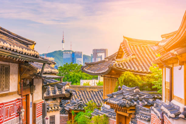 太金國際旅行社的旅遊行程介紹圖片
