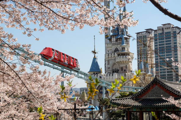 太金國際旅行社的旅遊行程介紹圖片