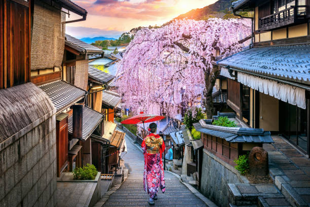 太金國際旅行社的旅遊行程介紹圖片