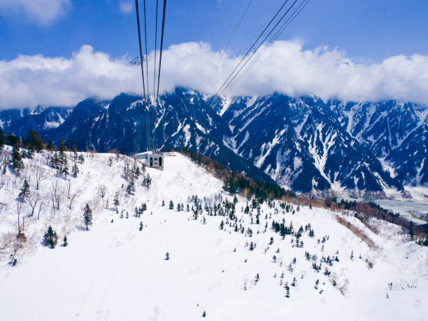 太金國際旅行社的旅遊行程介紹圖片