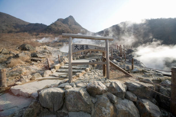 太金國際旅行社的旅遊行程介紹圖片