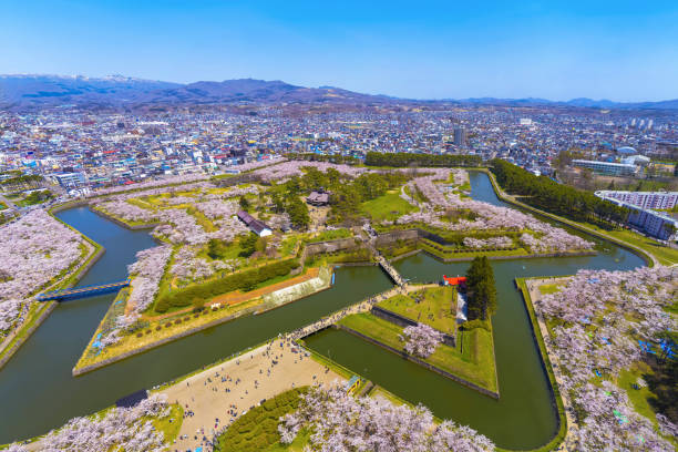 太金國際旅行社的旅遊行程介紹圖片