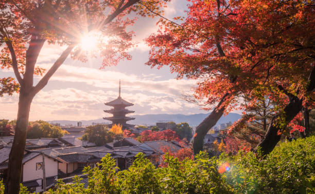太金國際旅行社的旅遊行程介紹圖片