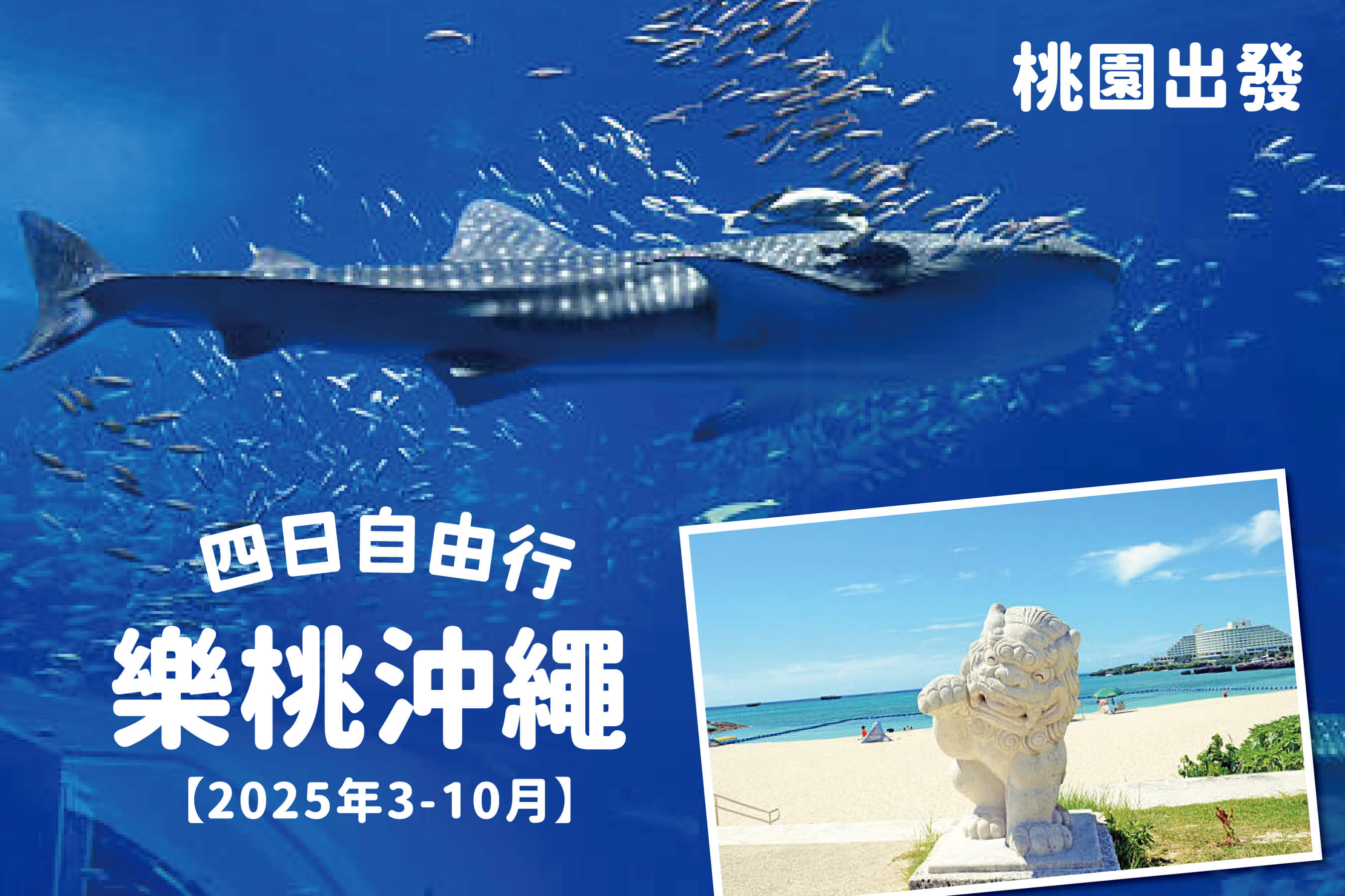 太金國際旅行社的旅遊行程介紹圖片