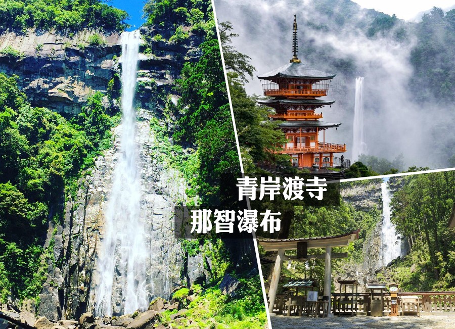 太金國際旅行社的旅遊行程介紹圖片