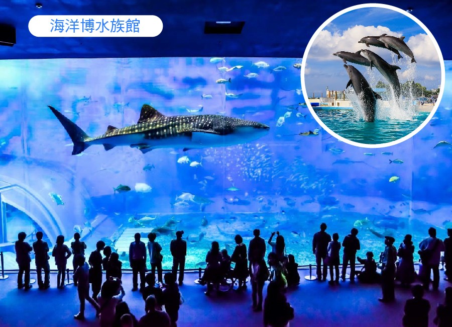 太金國際旅行社的旅遊行程介紹圖片