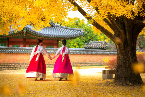 太金國際旅行社的旅遊行程介紹圖片