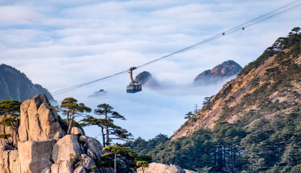 太金國際旅行社的旅遊行程介紹圖片