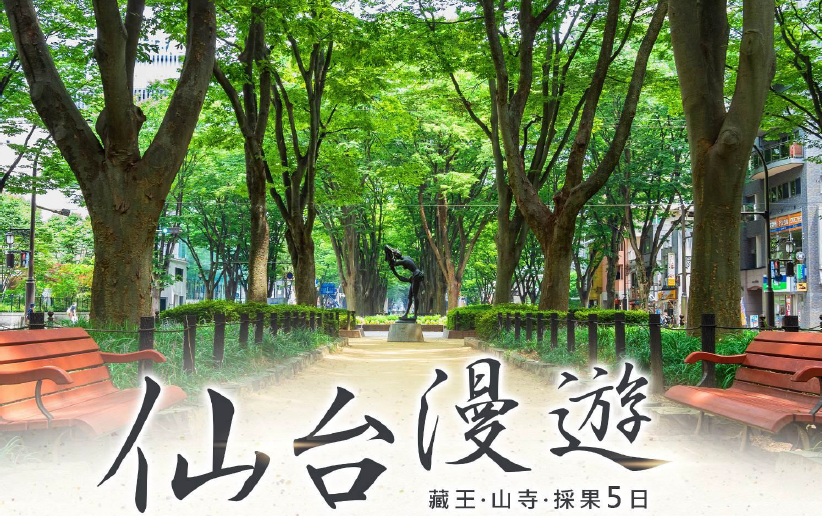 太金國際旅行社的旅遊行程介紹圖片