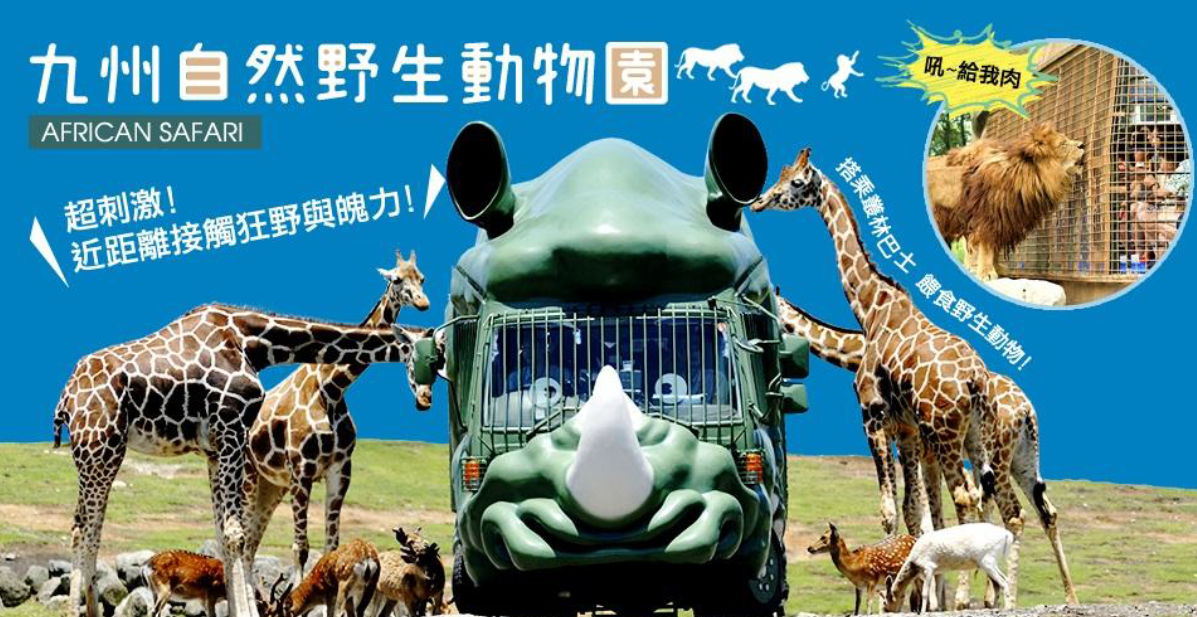 太金國際旅行社的旅遊行程介紹圖片