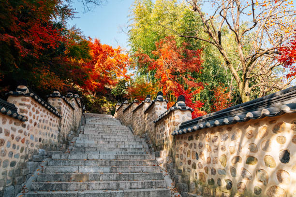 太金國際旅行社的旅遊行程介紹圖片